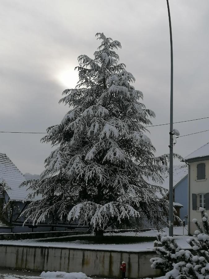 D'hotes Chez Loulou Et Caramel Magstatt-le-Bas
